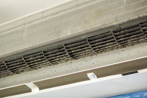 Best Air Duct Cleaning Near Me in De Leon Springs, FL